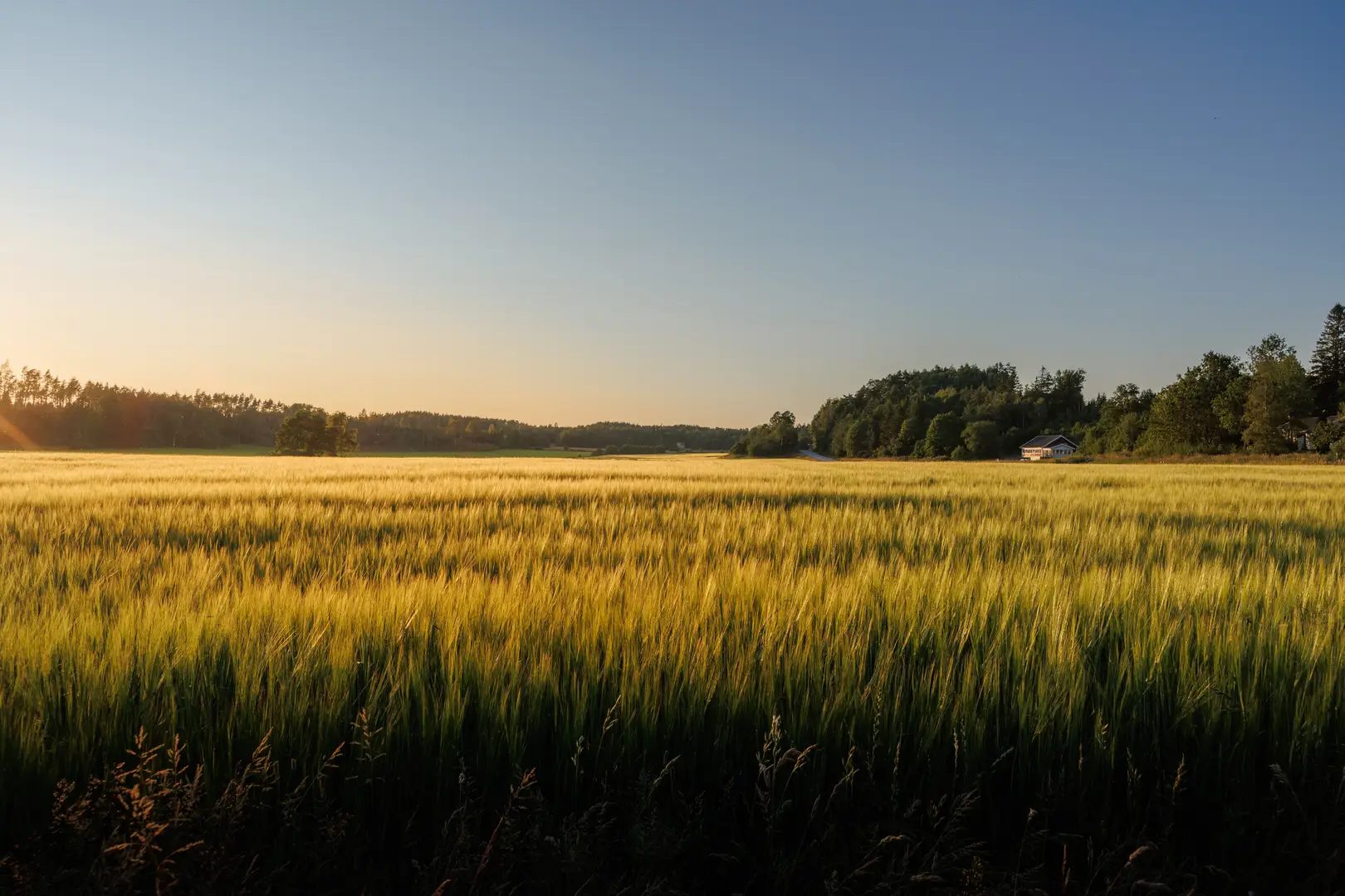 Radonsanering Hudiksvall